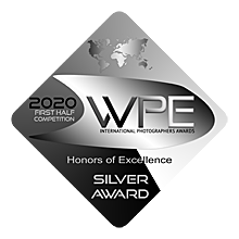 WPE silver Badge - Nicolas Baudry