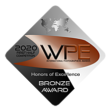 WPE bronze Badge