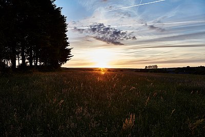 Coucher de soleil sur une prairie