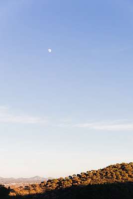 Paysage provençal