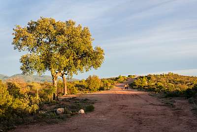Coucher de soleil sur les garrigues en Provence
