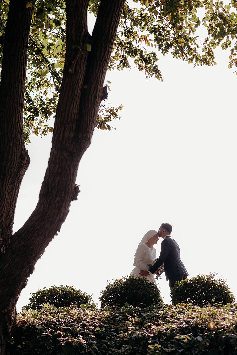 Photo en contre-jour sous un bel arbre dans les Yvelines