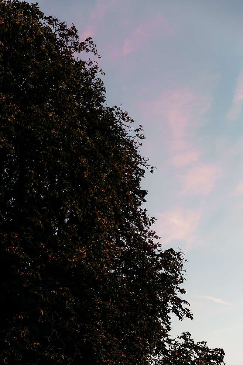 Le beau dégradé dans le ciel au domaine en Seine et Marne