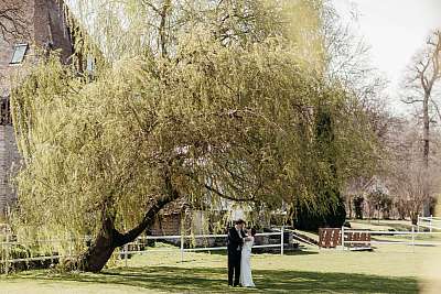Les mariés sous le grand saule pleureur du manoir des Foulons