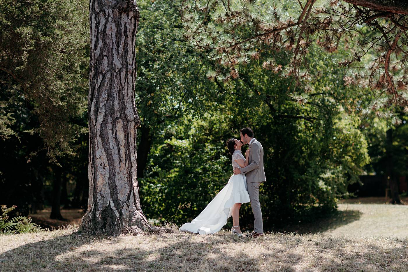 Les mariés à l'ombre d'un arbre majestueux du parc des Buissons de Vernouillet