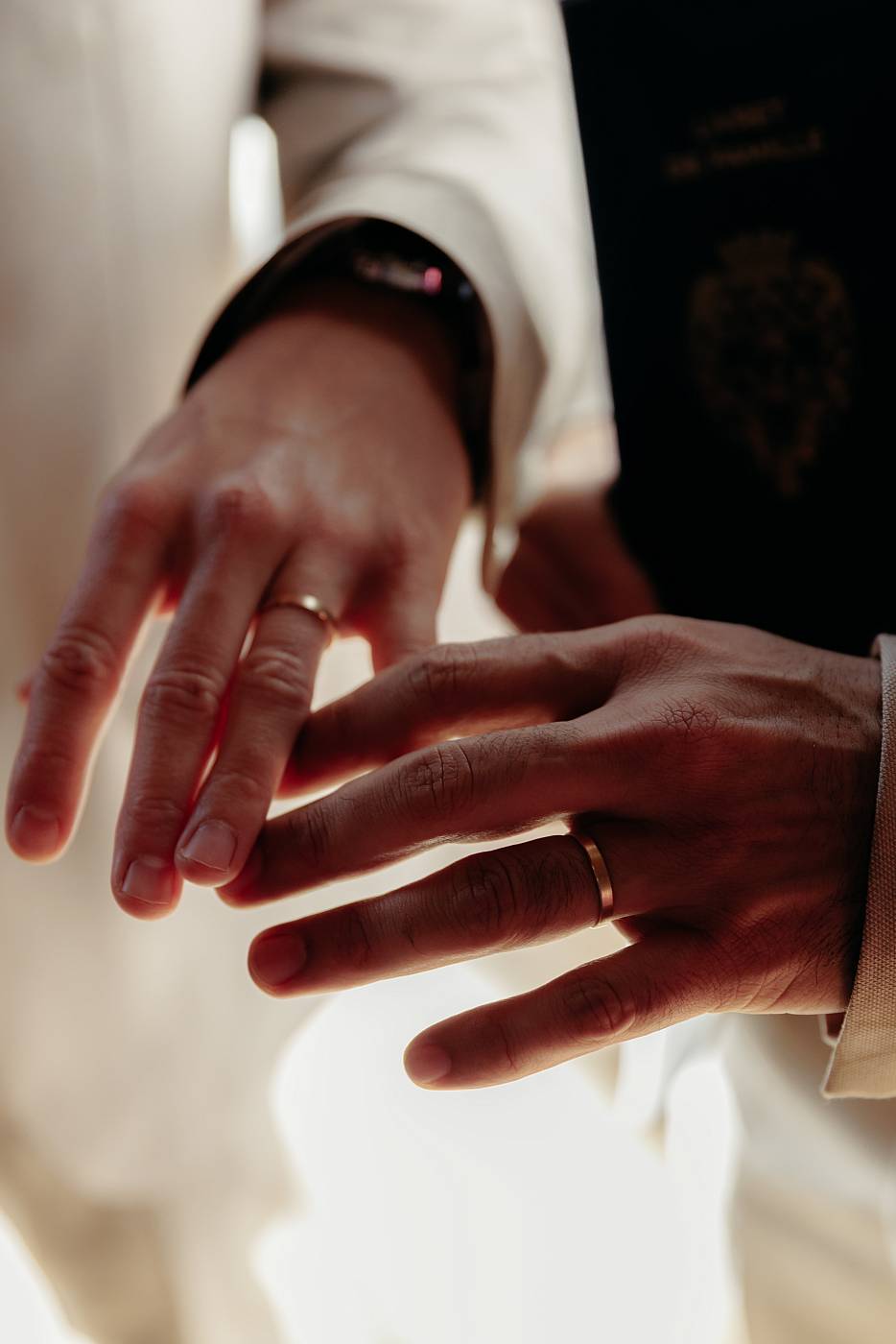 Gros plan sur les alliances