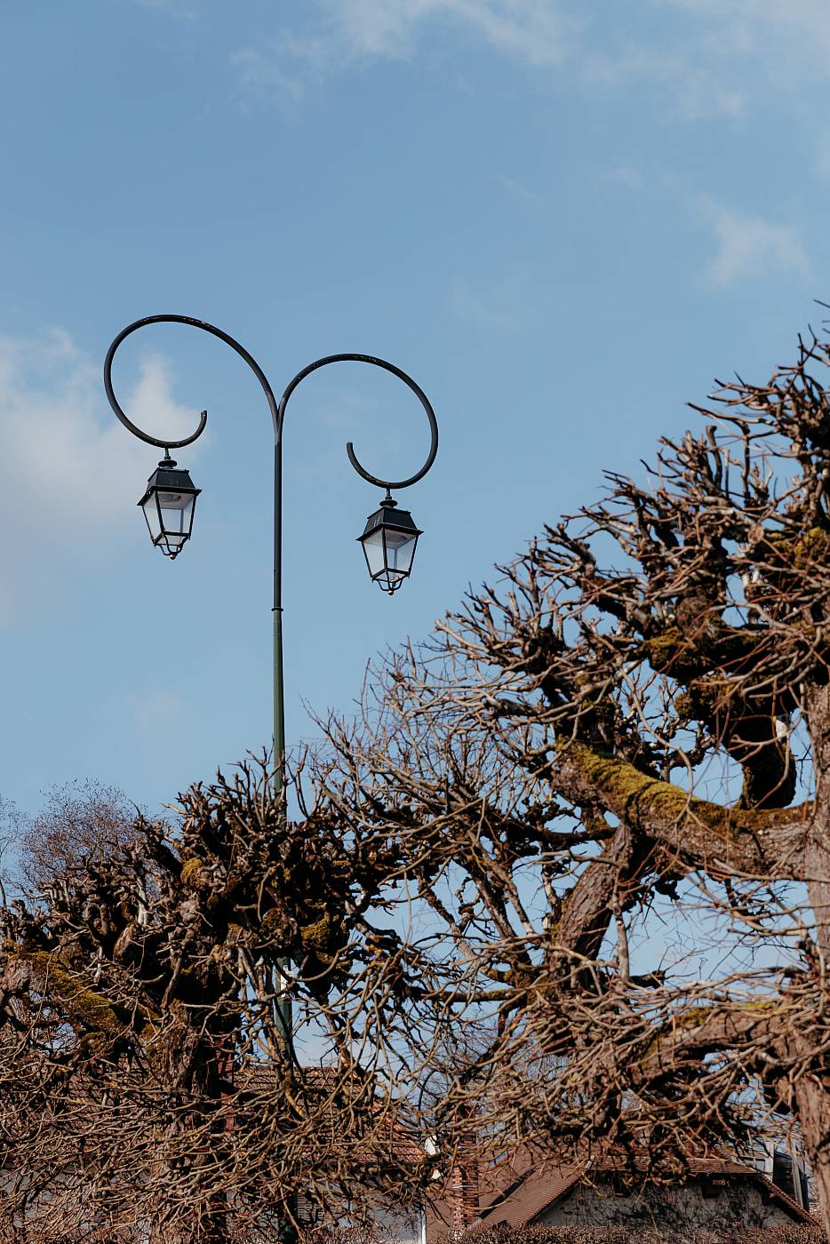 Les décors environnant de la mairie