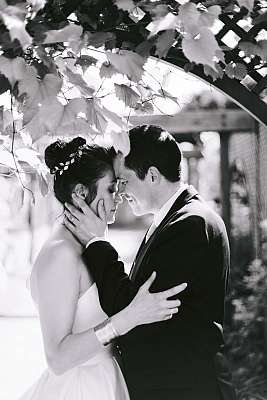 Photo de mariage parmi les vignes