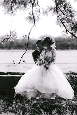 Les mariés amoureux posant sous un arbre centenaire